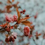 Beyond the Obstacle